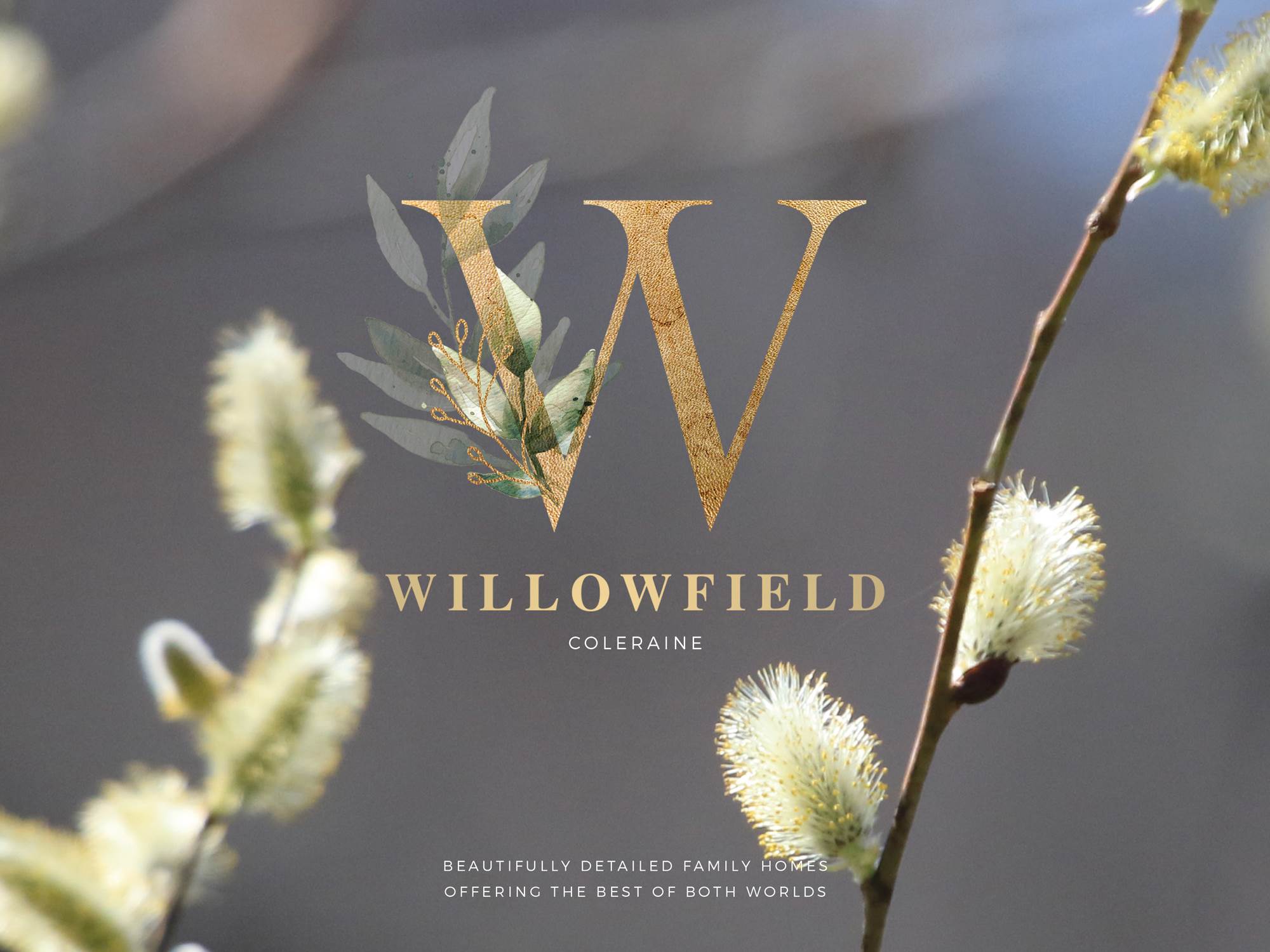 Willowfield 